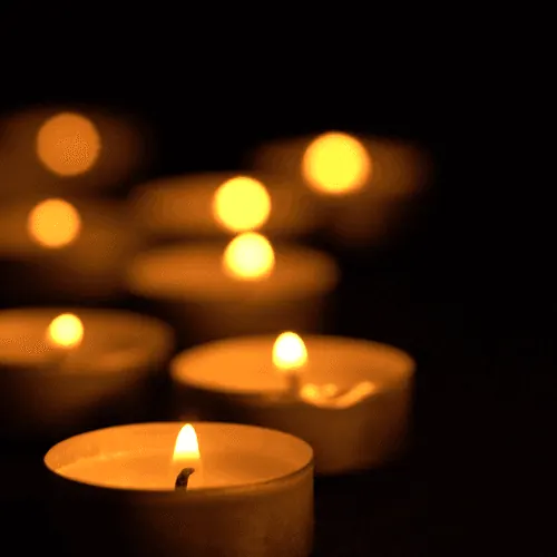 Honouring Life